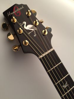 George Kooymnas custom made guitar Homestead brand, received on May 11, 2017 Indonesian Embassy The Hague